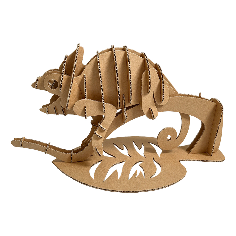 cs210-chameleon (2)
