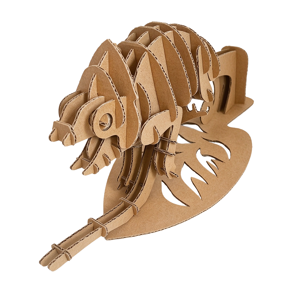 cs210-chameleon (3)