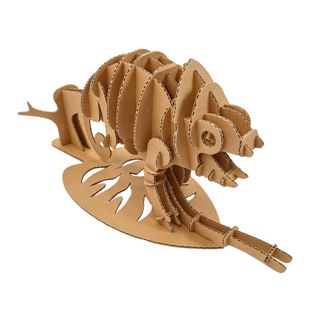 cs210-chameleon (4)