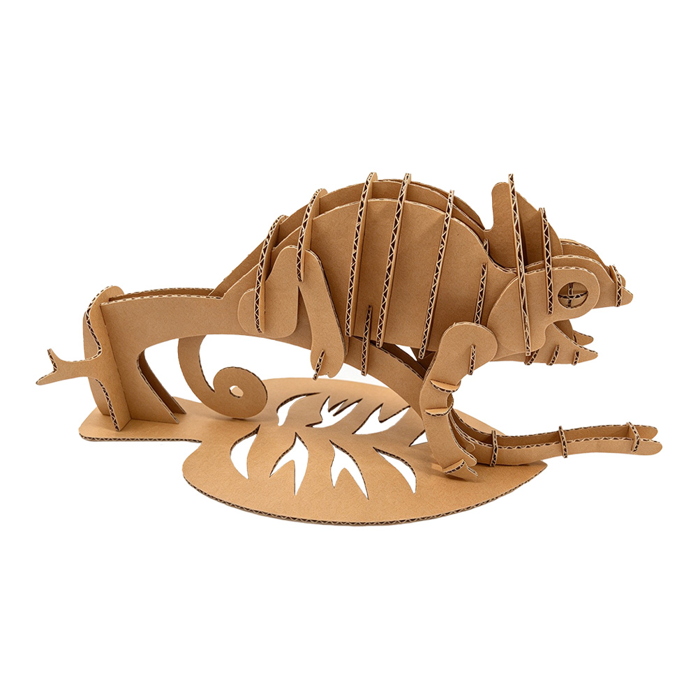 cs210-chameleon (5)