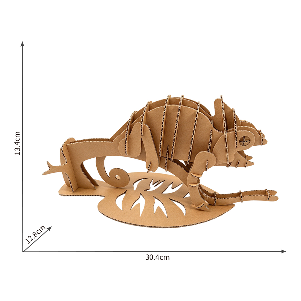 cs210-chameleon (7)