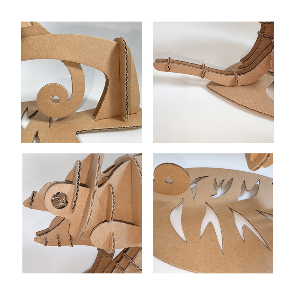 cs210-chameleon (8)