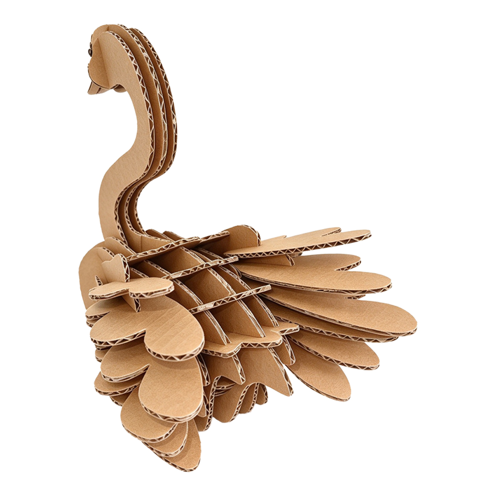 cs211-swan (3)