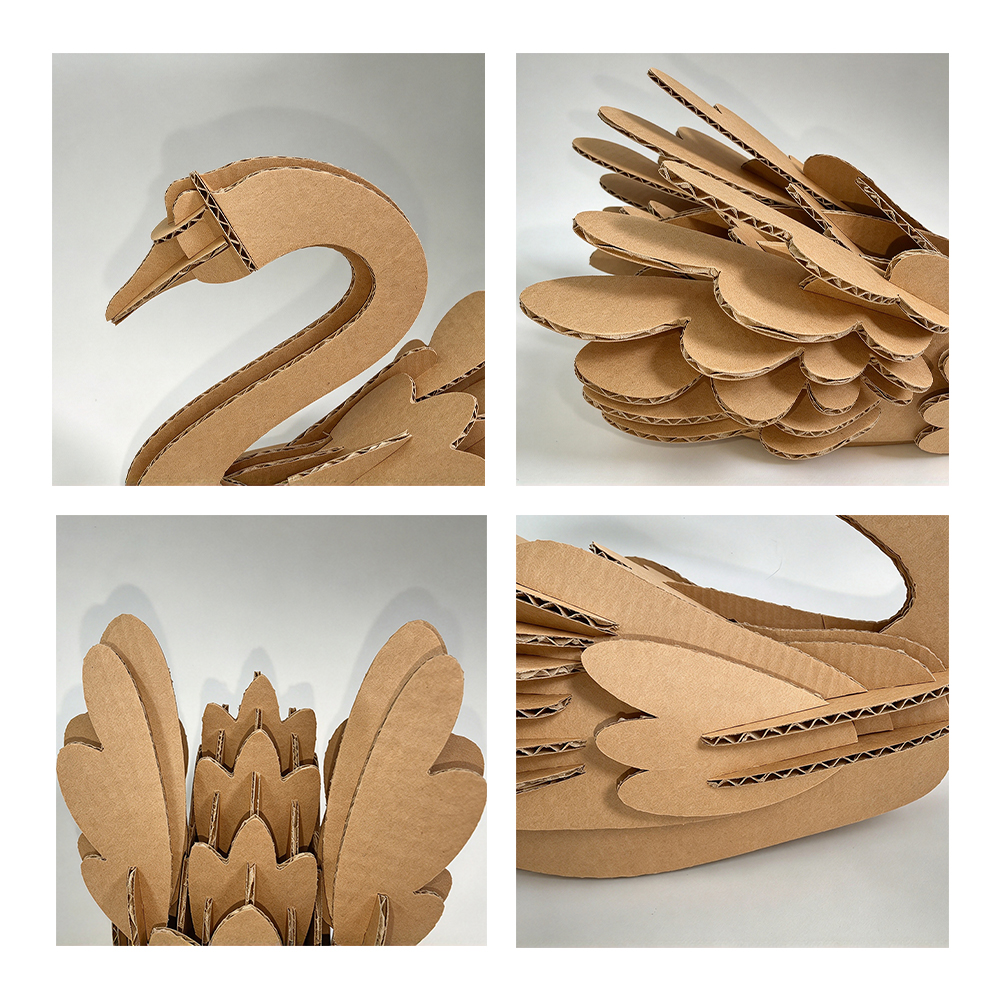 cs211-swan (7)