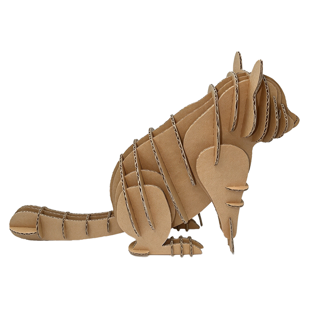 s209-raccoon (2)