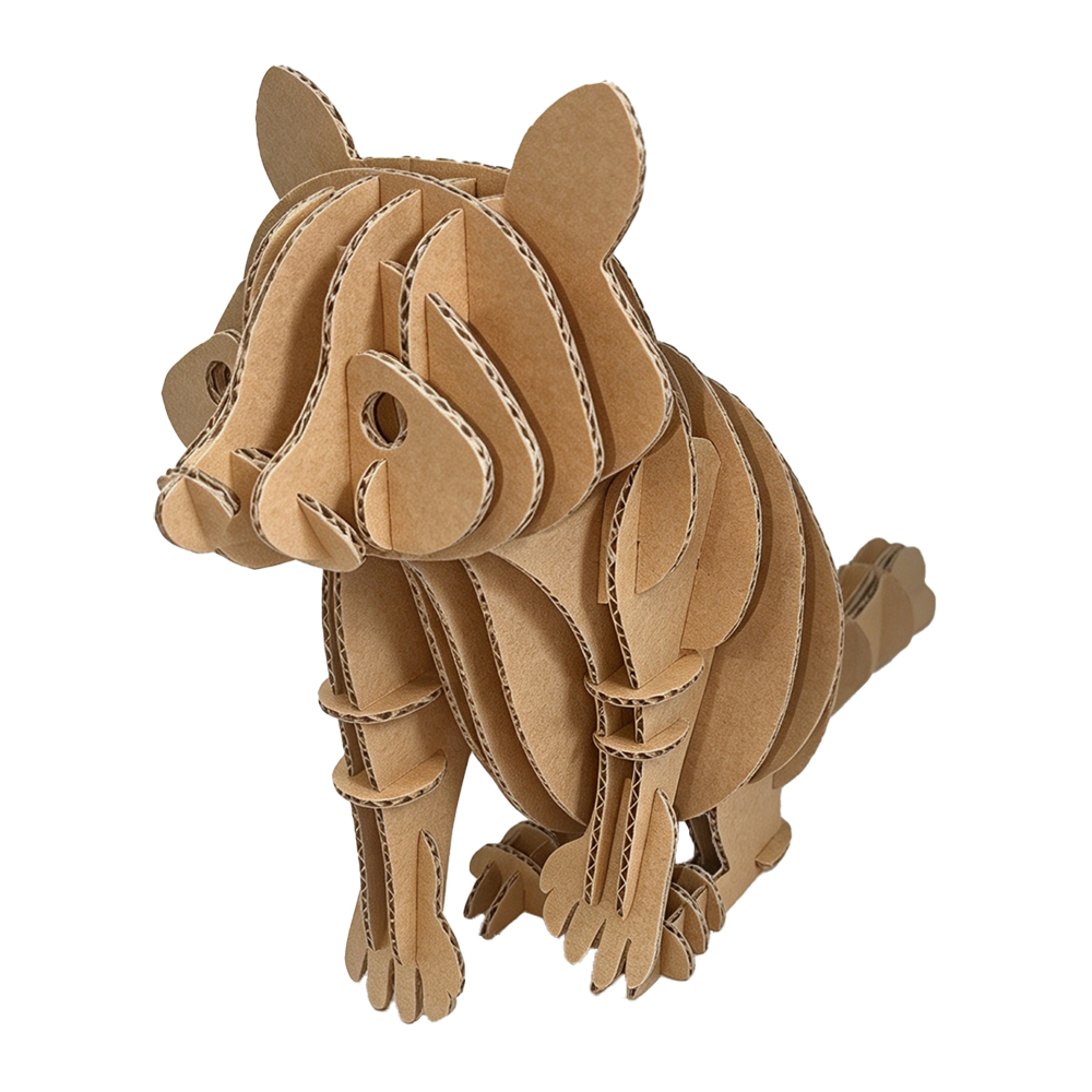 s209-raccoon (3)