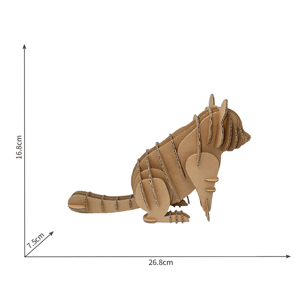 s209-raccoon (5)
