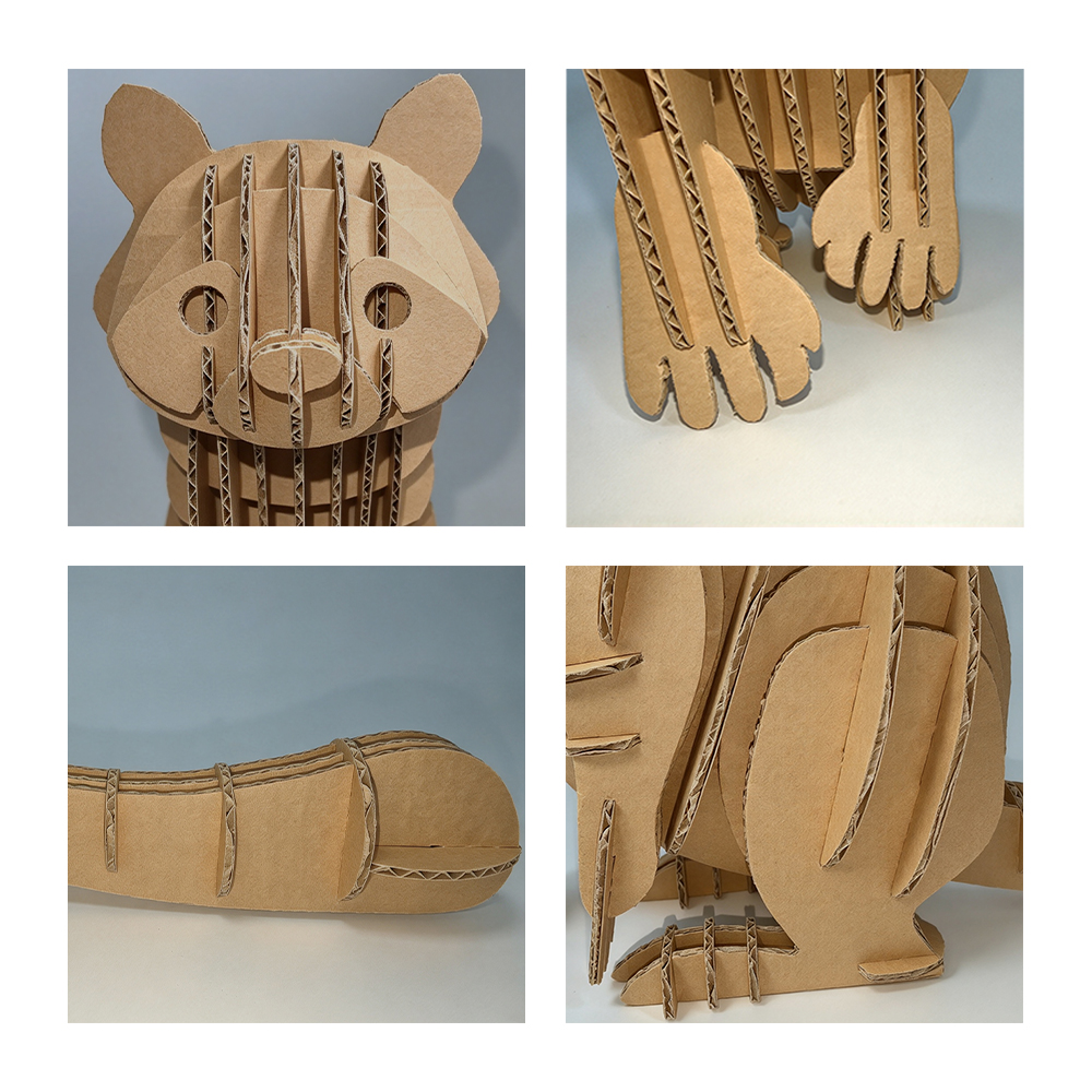 s209-raccoon (6)