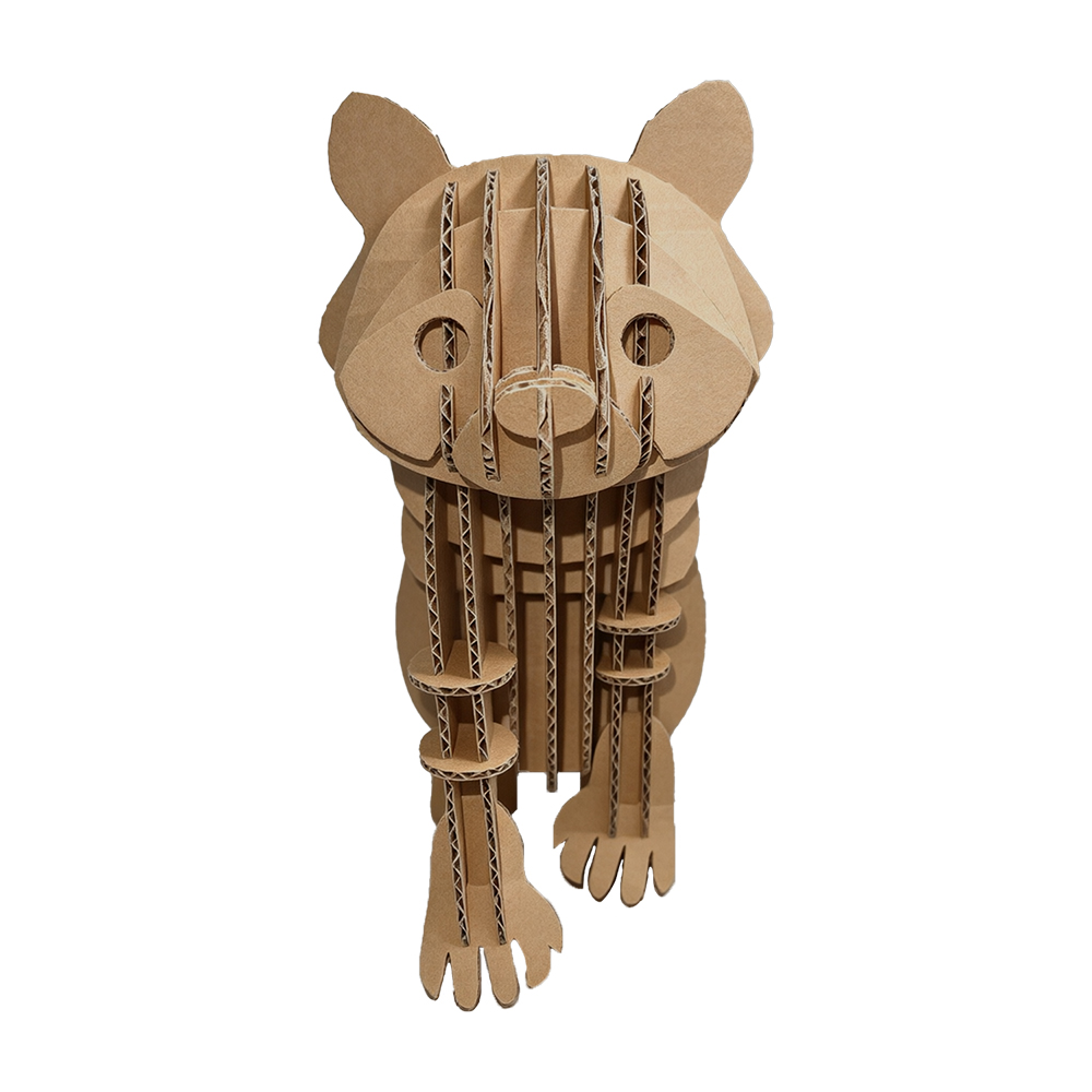 s209-raccoon (8)